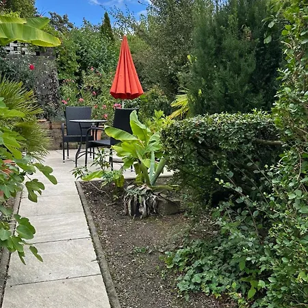 Apartment Moock Horn-Bad Meinberg