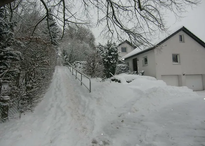 Moock * Horn-Bad Meinberg